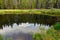 Forest reflected in water at Big Sandy Campground near Boulder, Wyoming, USA