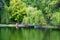 Forest reflecting on lake water surface, landscape