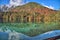 Forest Reflection in Lake