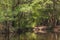 Forest reflection on the river with a nice walk path by the side