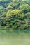 Forest reflections in Katsura River waters, Arashiyama, Kyoto