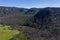 Forest regeneration after bushfire in The Blue Mountains