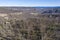 Forest regeneration after bushfire in The Blue Mountains