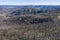 Forest regeneration after bushfire in The Blue Mountains