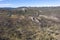 Forest regeneration after bushfire in The Blue Mountains