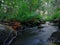 Forest river in Finland