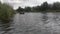 Forest river flow under cloudy sky on a summer day