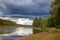 Forest river flowing among pines and firs with a birch in the foreground and a grassy shore and The sky with thunderclouds