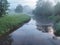 A forest river in a fog.