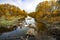 The forest river has become shallow, and in its bed you can see many stuck tree trunks.