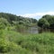 The forest river has very green juicy grassy banks