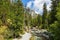 Forest and river with Le Moriond mountain behind in Vanoise national park, french alps, France