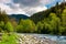 Forest river with rocky shore in mountains