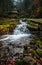 Forest river with stones and moss