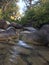 Forest river stream morning view.