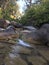 Forest river stream morning view.