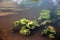 Forest river with water lilies green leaves and aquatic plants o
