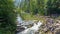 Forest river waterfall view. Wild river rapids. Forest wild river water flow.
