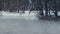 Forest river in winter. Cold weather. Snow covered riverbank. Fog over river