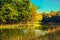 Forest riverside scene nature background