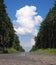 Forest road and clouds