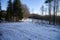 Forest road crossroad under white snow, Slovakia