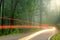 Forest road in early foggy morning with visible sun rays