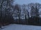 Forest road on the edge of a clearing with snow-covered meadow and silhouettes of bare deciduous trees on foggy day in winter.