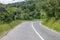 The forest road at Iringa region in Tanzania United Republic
