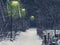 Forest road with lighted lampposts on a cold and snowy winter night