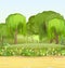 Forest road. Summer landscape. Dense foliage. Hills and green trees view. Meadow of a flower meadow. Nature illustration