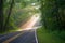 Forest Road Sun Beams and Rays