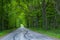 Forest road trees along at the countryside, car tyre tyres` traces tracks on the road, forest tree shadow