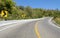 Forest road with warning sign