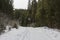 Forest road in the winter Carpathian Mountains. The path to the highest mountain of Ukraine-Hoverla