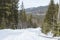 Forest road in the winter Carpathian Mountains. The path to the highest mountain of Ukraine-Hoverla