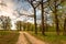 Forest roads on hilly terrain in the forest