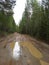 Forest roads after rain. Beauty of taiga, Irkutsk. Siberia