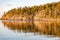 Forest and rocks reflecting in sea very early in the morning