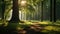 forest scene with sunlight filtering through tall trees illuminating a peaceful path surrounded by lush greenery