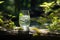 Forest serenity meets mineral water refreshment, the essence of a summer spa