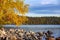 Forest on the shores of Lake Imandra. Autumn landscape, Kola Peninsula, Russia