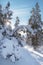 Forest on the shores of Lake Ladoga in Karelia with the sun and rays in winter