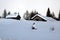 Forest, sky, lodges, trees, winter in Dolomiti mountains, in Cadore, Italy