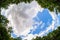 Forest sky wide angle tree,  background