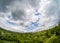 Forest sky wide angle tree,  branch