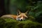 Forest sleeping fox. Generate Ai