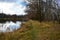 Forest slender alleys birch grove on the river bank. Green grass. A path