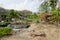 Forest with small waterfall of river in old gaden of green village