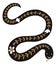 Forest snake in scandinavian folk style. Animal with floral pattern